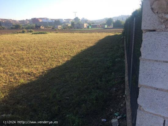 Terreno rural en Molina de Segura zona Ribera de molina. - MURCIA