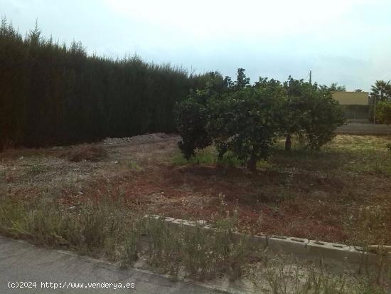 TERRENO URBANO  EN LAS TORRES DE COTILLAS - MURCIA