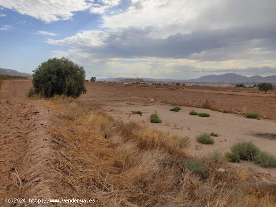 Terreno con edificacion antigua y suministro de luz - MURCIA