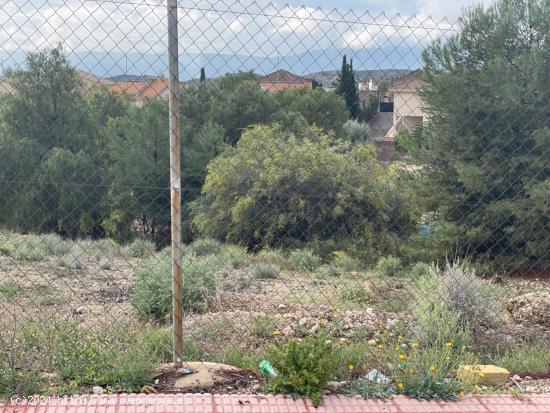 SOLAR URBANO EN EL COTO  DE 1300M2 - MURCIA