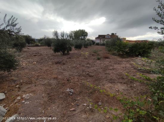 Casa para reformar en el Campillo - MURCIA