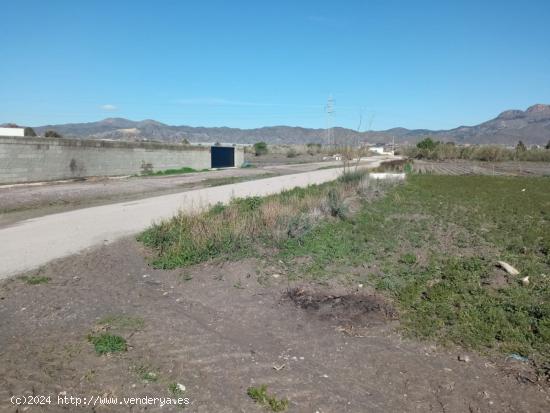 Parcela de Regadio - MURCIA