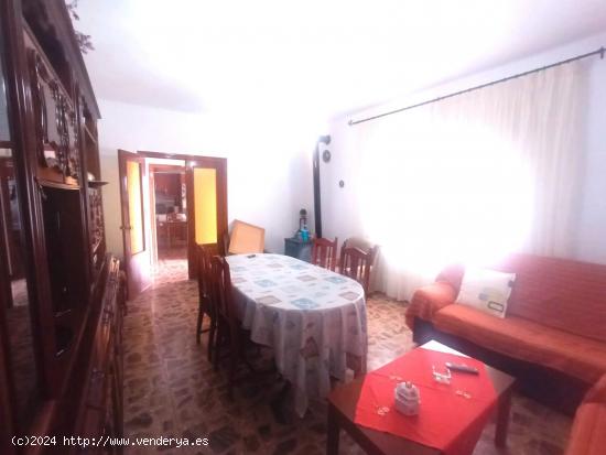 2 Casas con terreno y 2 naves - MURCIA