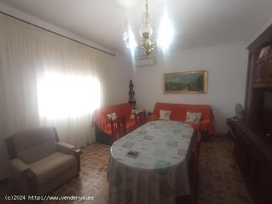 2 Casas con terreno y 2 naves - MURCIA