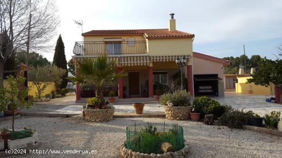 VENTA CAMPO - ALICANTE