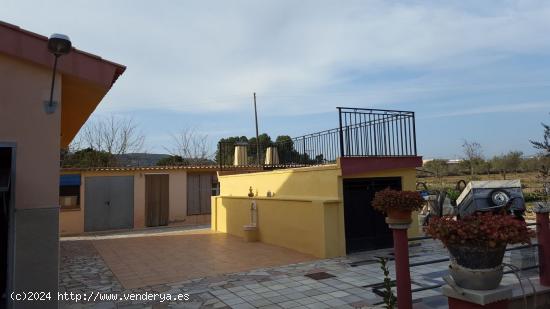 VENTA CAMPO - ALICANTE