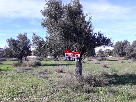 PARCELA URBANA CON TODOS LOS SERVICIOS - VALENCIA