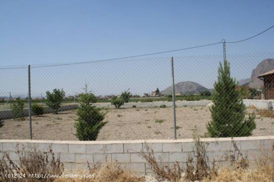 Parcela a las afueras de Orihuela - ALICANTE