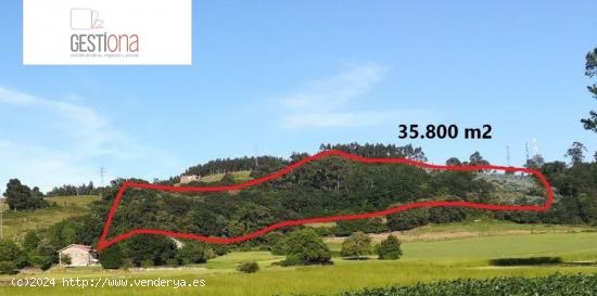 TERRENO RURAL DE 35.800M2 - CANTABRIA