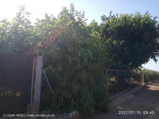 Terreno rural VENTA en Castellón zona NORTE, 3000 m. - CASTELLON