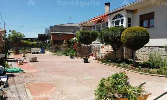 CHALET EN BABILAFUENTE - SALAMANCA