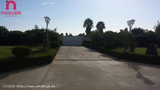 PARCELA ZONA LOS GAGOS EN VENTA 53.000 EUROS - CORDOBA