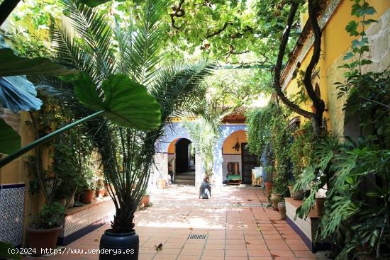 CASA EN CENTRO HISTORICO CON 18 HABITACIONES Y 8 BAÑOS. - CADIZ