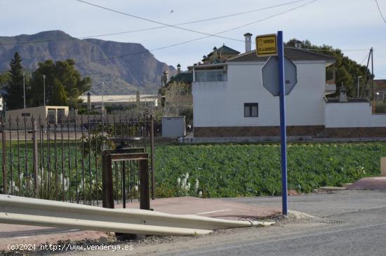 Se vende parcela agraria de 6.841m2 en Orihuela, zona de Camino de Enmedio. - ALICANTE