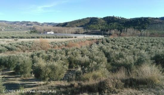 Terreno Rural en Jayena - GRANADA