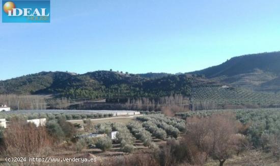 A4990J1. Terreno Rural en Jayena. www.idealhouse.es - GRANADA