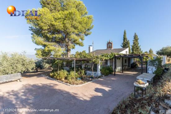 Casa rural con 300 olivos de riego y almendras en Cogollos Vega. - GRANADA