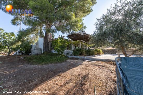 Casa rural con 300 olivos de riego y almendras en Cogollos Vega. - GRANADA