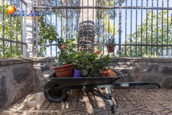 Casa rural con 300 olivos de riego y almendras en Cogollos Vega. - GRANADA