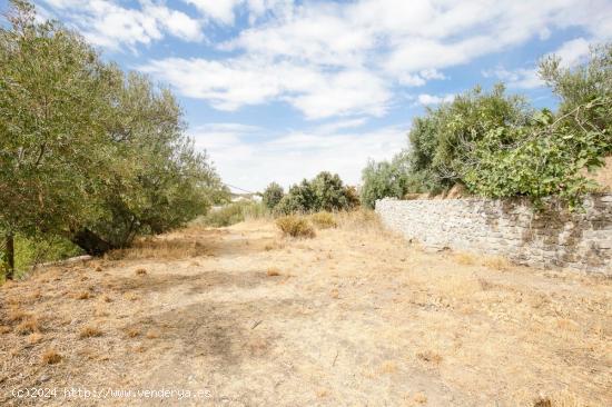 GRAN PARCELA EN HUETOR-SANTILLAN - GRANADA