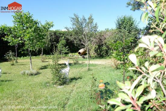 FINCA EN VENTA EN ÁVILA, CARRETERA DE BURGOHONDO - AVILA