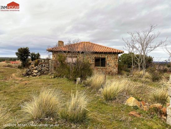 FINCA RÚSTICA EN BRIEVA (ÁVILA) - AVILA