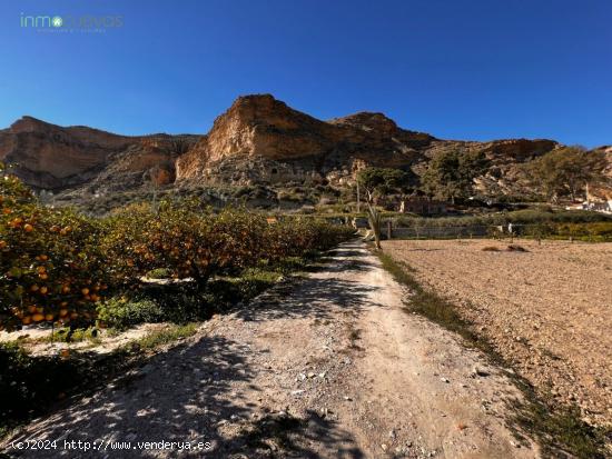 Finca de Recreo - ALMERIA