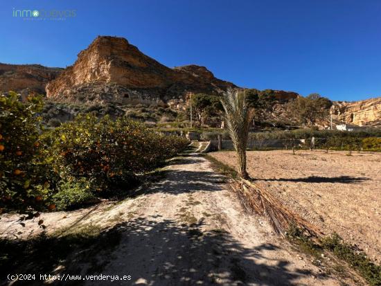 Finca de Recreo - ALMERIA