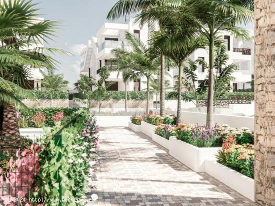 Viviendas de planta baja y jardín o áticos con gran terraza - ALMERIA