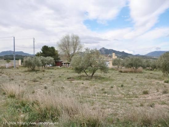 TERRENO RUSTICO - ALICANTE