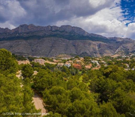 OPORTUNIDAD! Gran parcela en zona de golf - ALICANTE