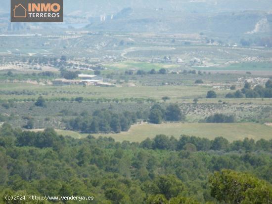 A la venta magnífica finca ecológica con 15 parcelas entre Murcia y Andalucía. - MURCIA