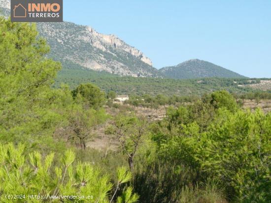 A la venta magnífica finca ecológica con 15 parcelas entre Murcia y Andalucía. - MURCIA