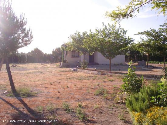 parcela: Terreno de 5500 m2 y casa de 60 m2, preparada para ampliar. - ALBACETE