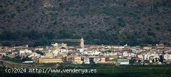 Terreno urbano situada en Palma de Gandia, ubicado en el centro del pueblo - VALENCIA