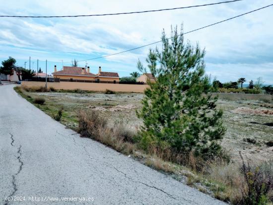 SE VENDE PARCELA EDIFICABLE EN LA MATANZA DE FORTUNA! - MURCIA