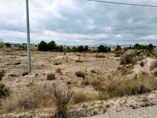 SE VENDE PARCELA EDIFICABLE EN LA MATANZA DE FORTUNA - MURCIA