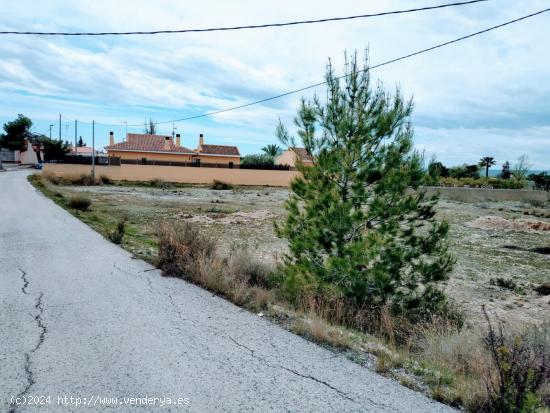 SE VENDE PARCELA EDIFICABLE EN LA MATANZA DE FORTUNA - MURCIA