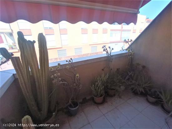 PISO CON TERRAZA DE 3 DORMITORIOS y 2 BAÑOS EN SANTOMERA, ZONA LAS PALMERAS - MURCIA