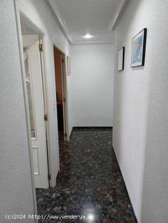 Vivienda en última planta, con ascensor. - ALICANTE