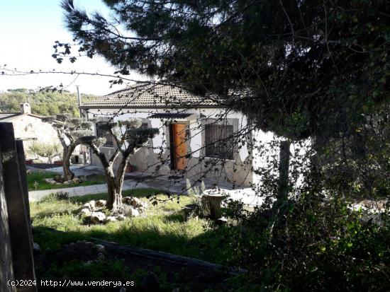 CASA CON GRAN TERRENO Y PISCINA - BARCELONA