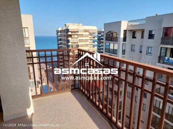 SE ALQUILA APARTAMENTO EN ZONA DE LA CURVA - CASTELLON