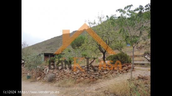 SE VENDE FINCA RÚSTICA EN FONDON ZONA CAMINO DE CAZÍN - ALMERIA