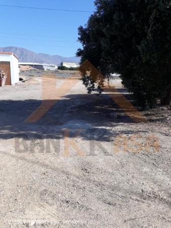 CASA CON 4000 METROS DE TERRENO EN TARAMBANA - ALMERIA