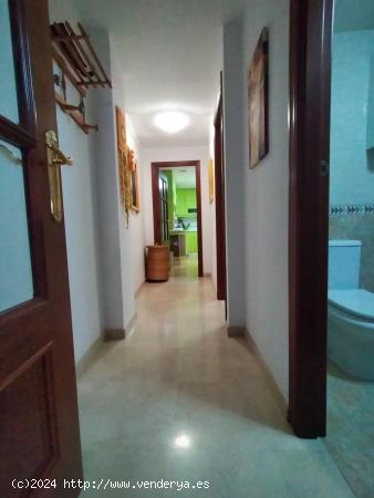 COQUETO APARTAMENTO SEMI NUEVO PERFECTO PARA ENTRAR A VIVIR - CORDOBA