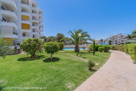 Planta baja con piscina comunitaria y vistas al mar en San Agustí - BALEARES