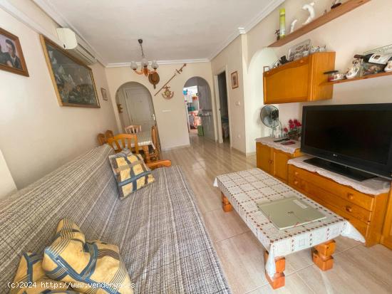 Apartamento en planta baja en !Guardamar del Segura¡ - ALICANTE