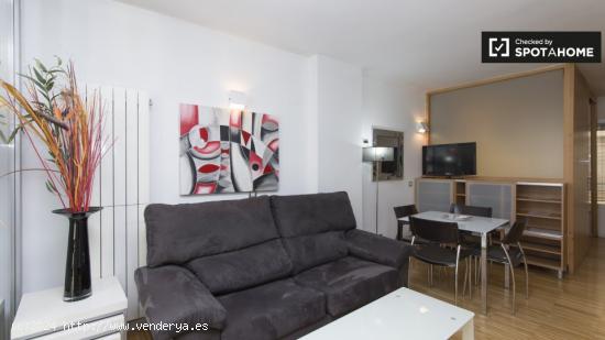 Apartamento de 2 dormitorios en alquiler en Lavapiés, Madrid - MADRID