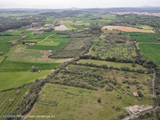 TERRENO RÚSTICO/AGRARIO - BALEARES