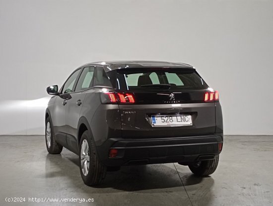 Peugeot 3008 Active Pack - Valladolid